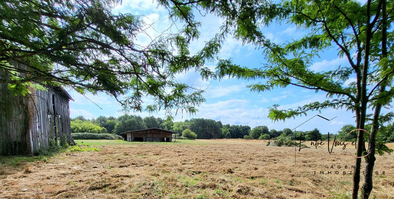 Maison - 134 m² - 5 pièces