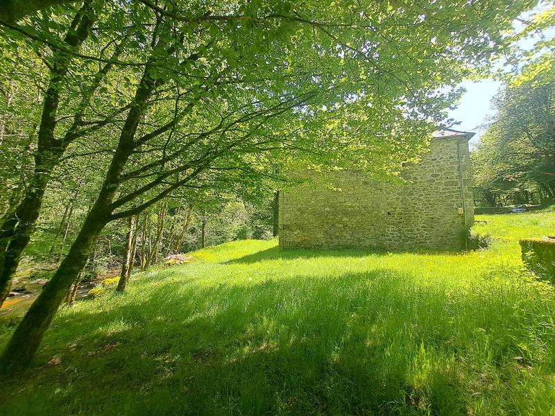 Moulin - 230 m² - 6 pièces