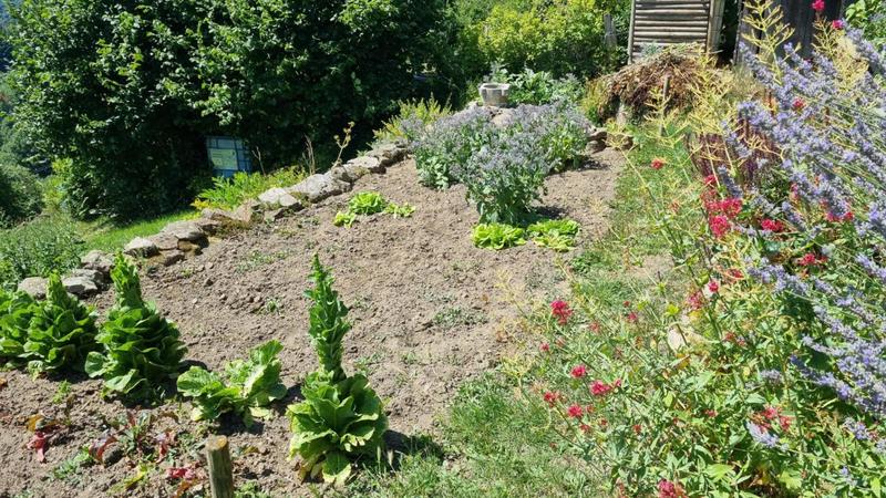 Maison - 63 m² - 3 pièces