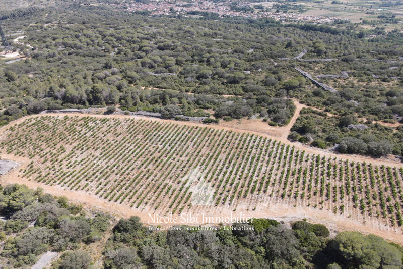 Terrain agricole - 18 500 m²