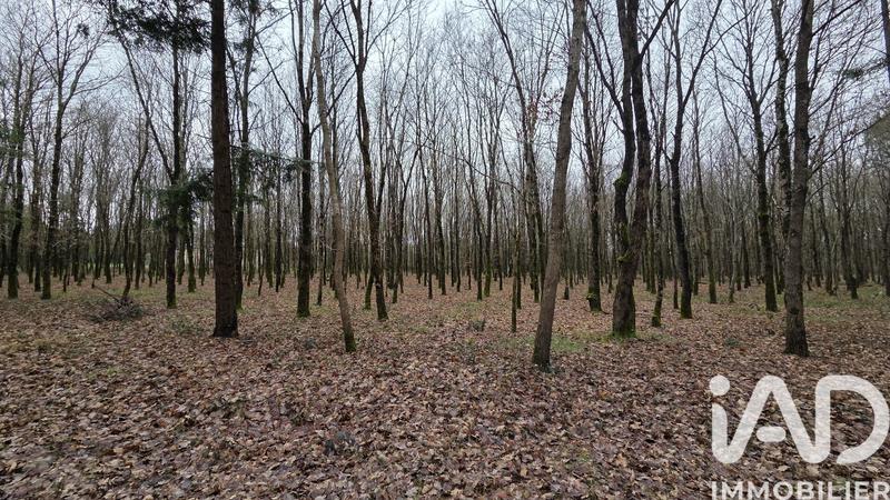 Maison - 227 m² - 8 pièces