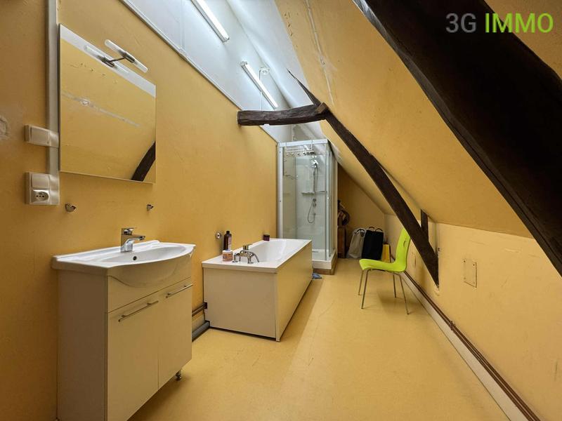 Maison de domaine - 506 m² - 18 pièces