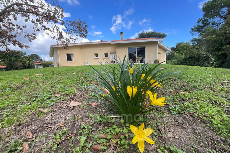 Maison - 114 m² - 4 pièces