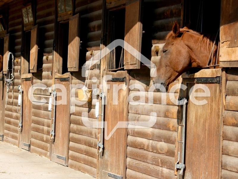 Fonds de commerce - 10 000 m²