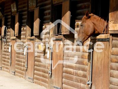 Fonds de commerce - 10 000 m²