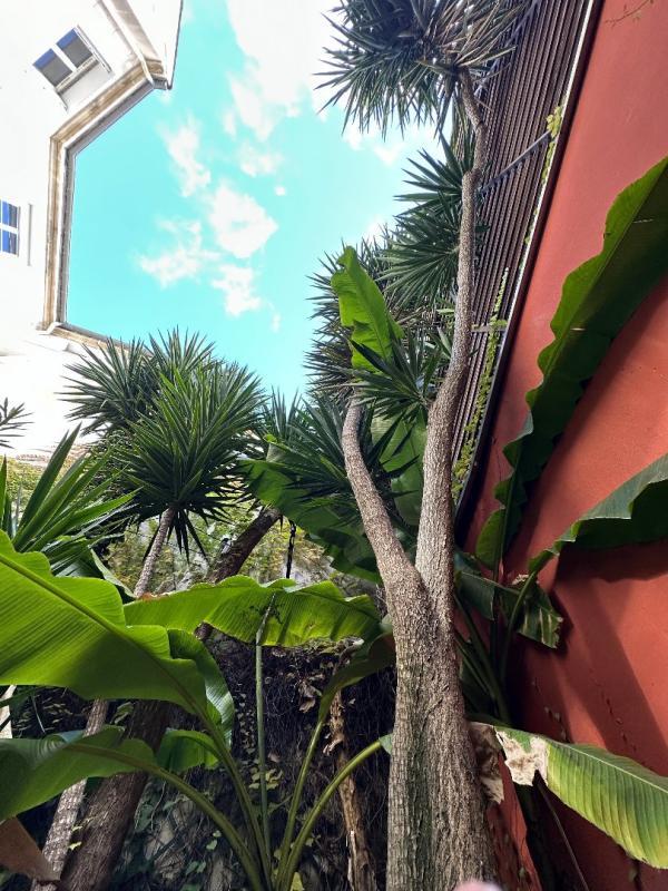 Maison - 215 m² - 9 pièces