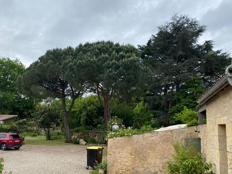 Maison - 700 m² - 15 pièces