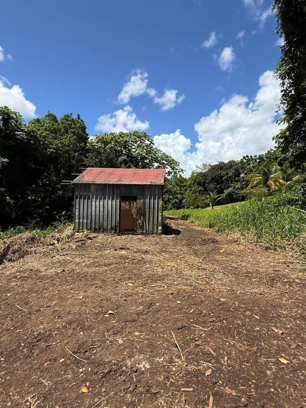 Terrain - 11 353 m²