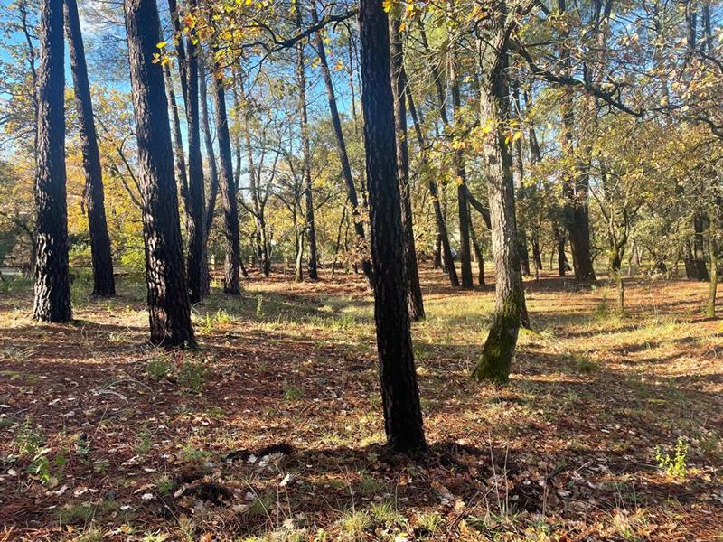 Maison - 85 m² - 3 pièces