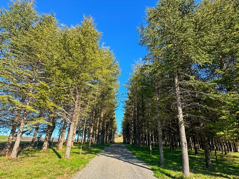 Local d'activité / Entrepôt - 240 m² - 1 pièce