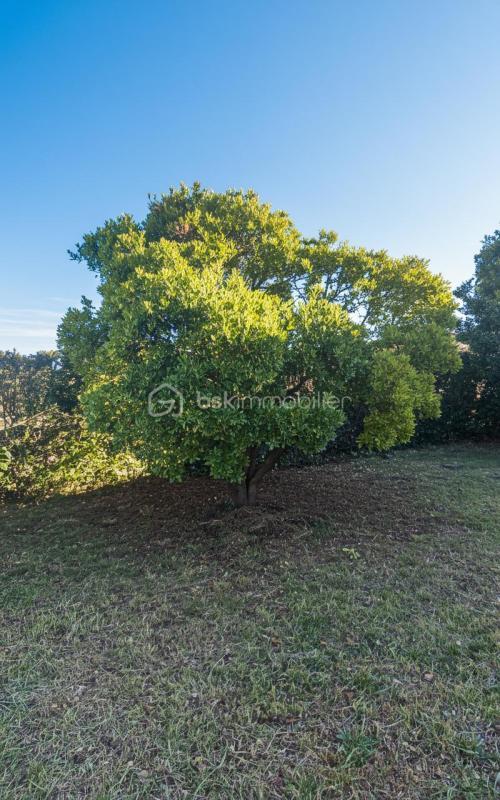 Maison traditionnelle - 95 m² - 4 pièces