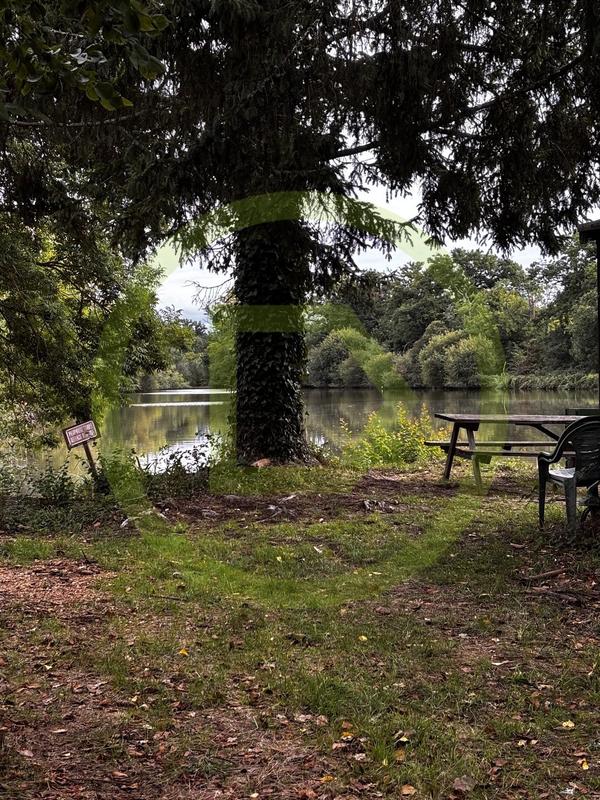 Terrain de loisirs - 26 106 m²