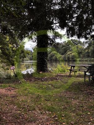 Terrain de loisirs - 26 106 m²