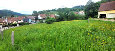 Terrain - 1 506 m²