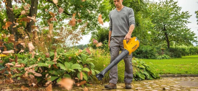 Delorme Elagage (Roger)