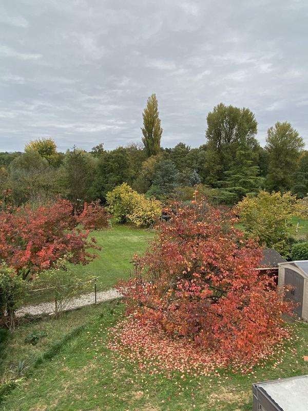 Maison - 130 m² - 7 pièces