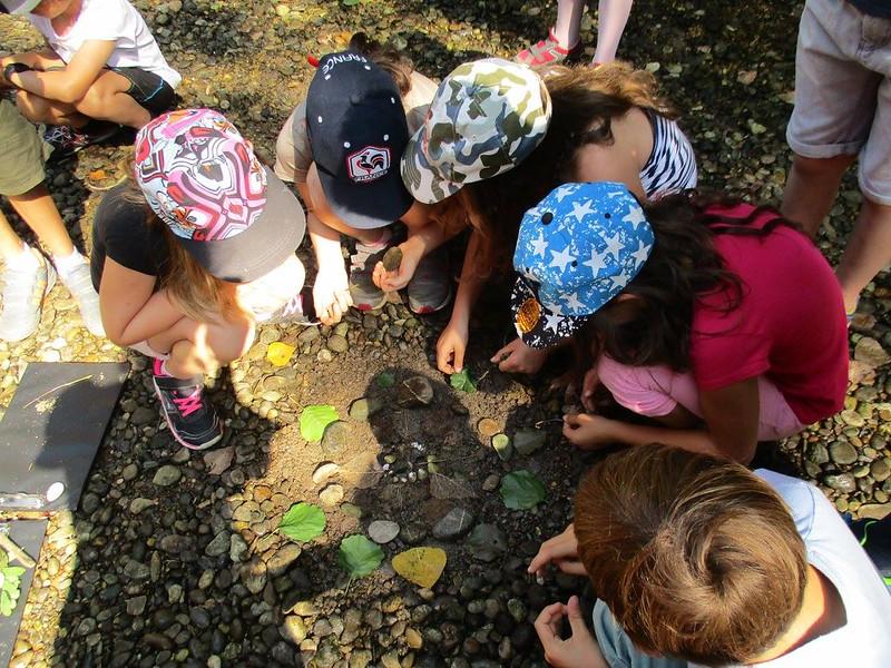 Art thérapie &amp; Nature propose : les Ateliers du lien