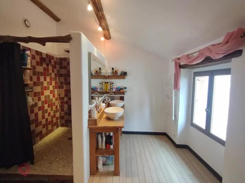 Maison ancienne - 530 m² - 12 pièces