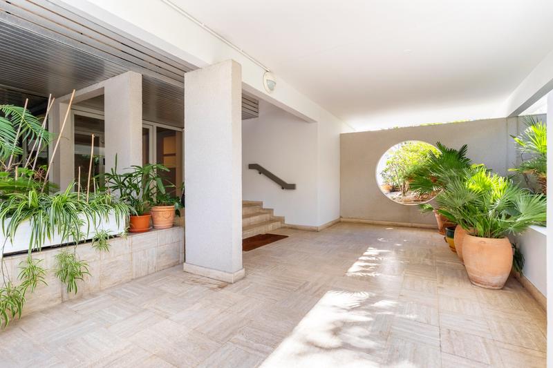 Appartement - 130 m² - 5 pièces