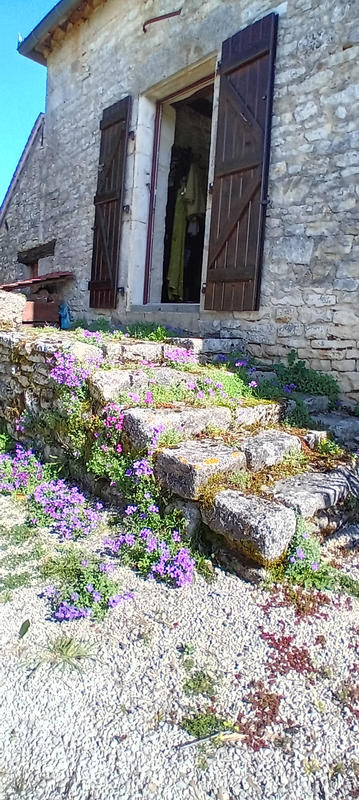 Maison - 179 m² - 6 pièces