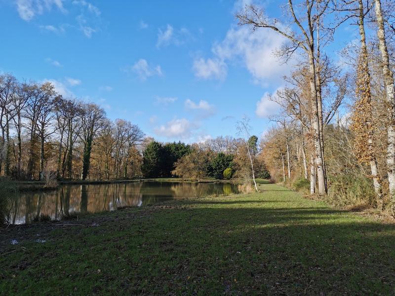 Terrain de loisirs - 11 400 m²