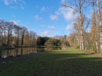 Terrain de loisirs - 11 400 m²