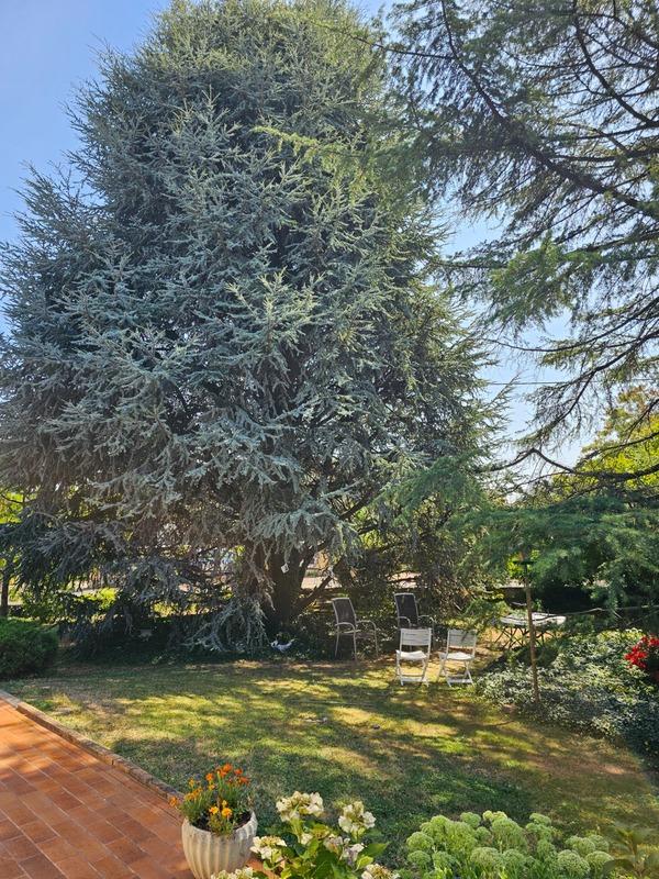 Maison - 103 m² - 4 pièces