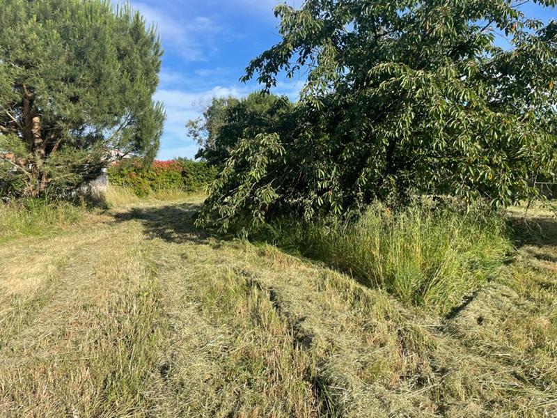 Terrain constructible - 810 m²