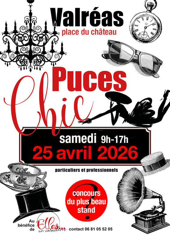 Puces chic