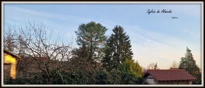 Maison - 103 m² - 4 pièces