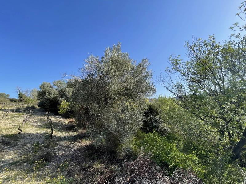 Terrain - 48 670 m²