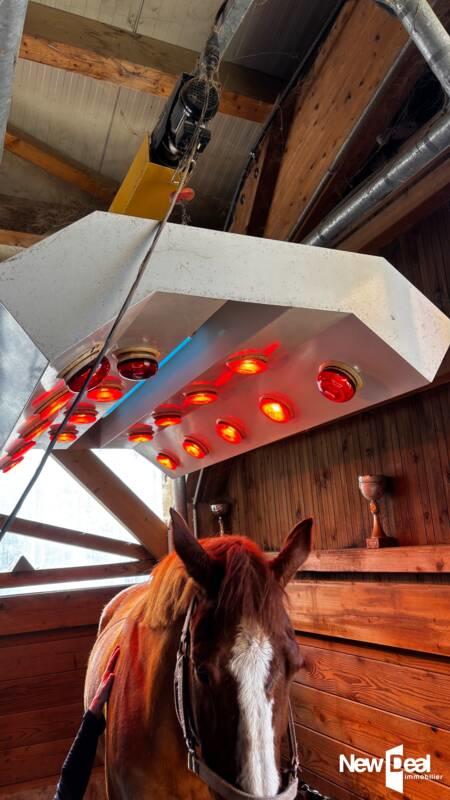 Maison de domaine équestre - 250 m² - 10 pièces