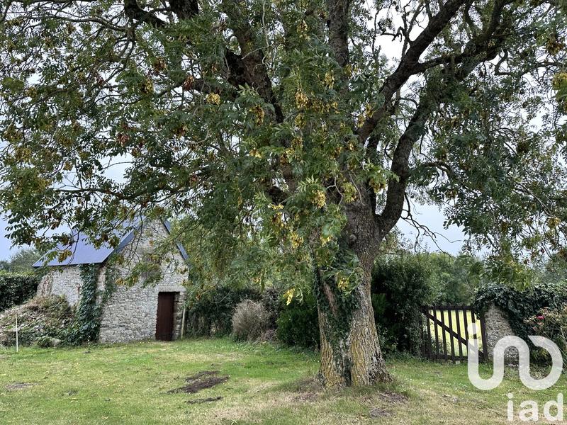 Maison de campagne - 160 m² - 7 pièces