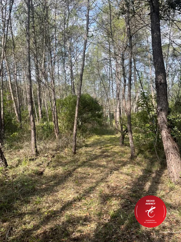 Terrain de loisirs - 3 402 m²