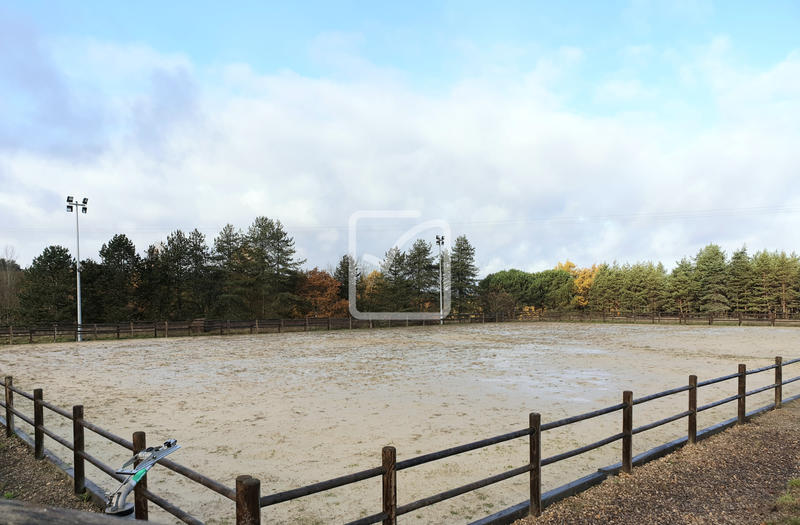 Propriété - 250 m² - 15 pièces