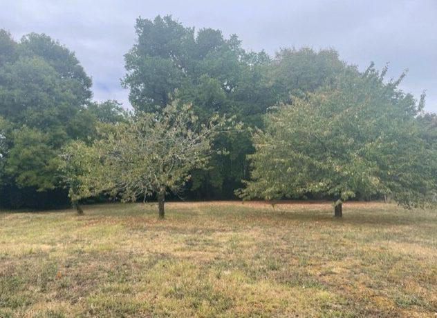 Maison ancienne - 220 m² - 8 pièces