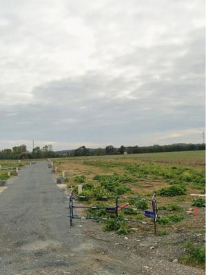 Terrain constructible - 279 m²