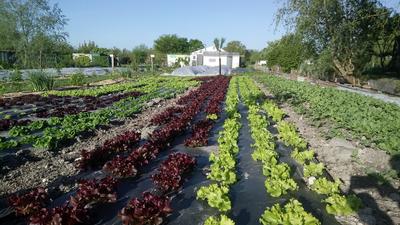 Le Goût des Saisons