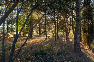 Maison - 200 m² - 5 pièces