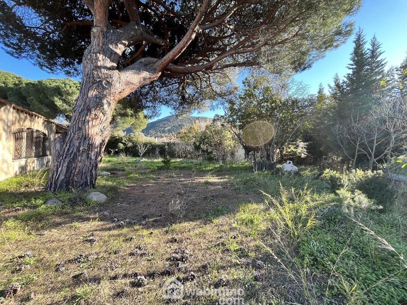 Villa - 259 m² - 7 pièces