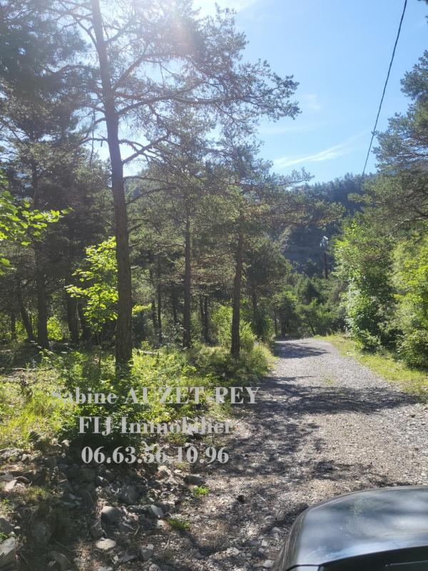 Propriété - 180 m² - 5 pièces