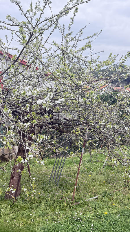 Maison - 138 m² - 7 pièces