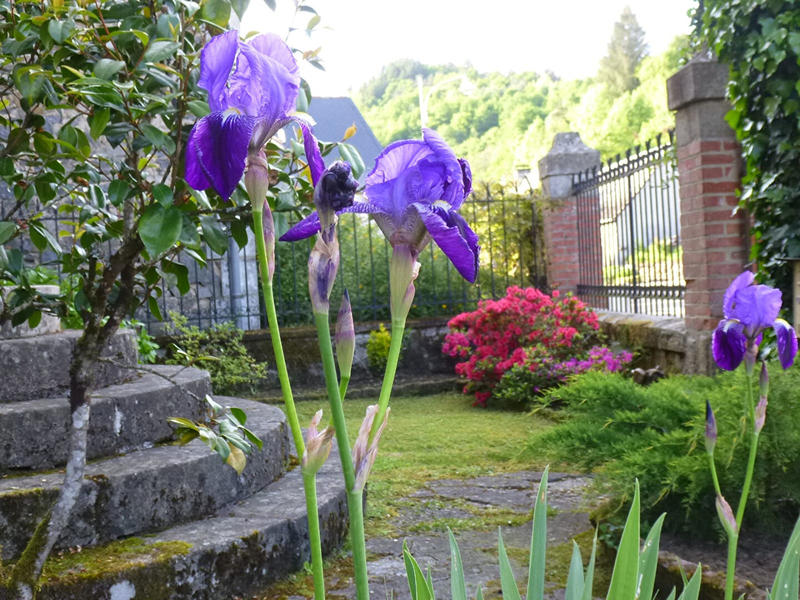 Maison - 156 m² - 8 pièces