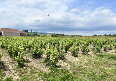 Maison - 114 m² - 4 pièces