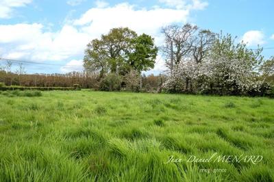 Terrain constructible - 599 m²