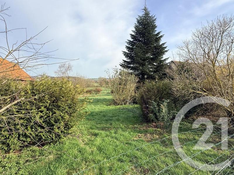 Terrain - 1 061 m²