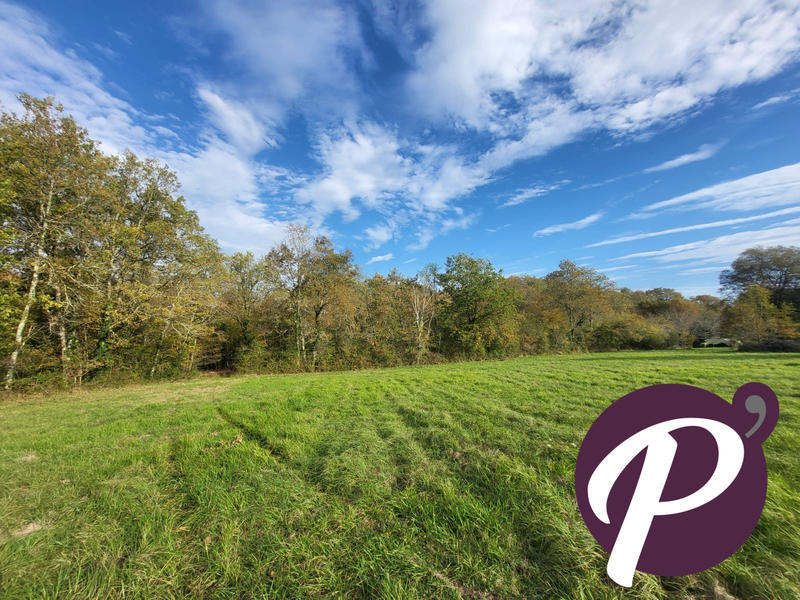 Terrain - 14 806 m²