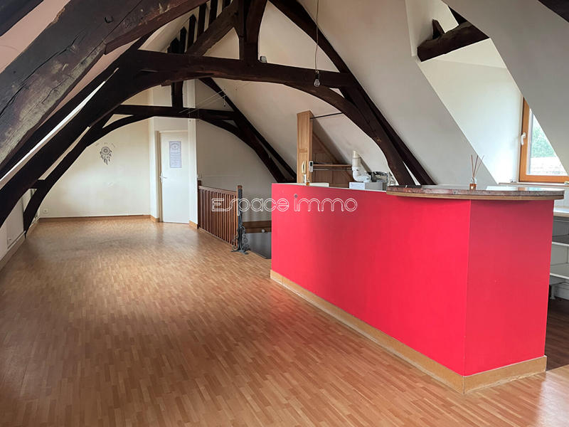 Loft - 40 m² - 1 pièce