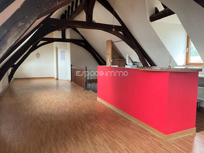 Loft - 40 m² - 1 pièce