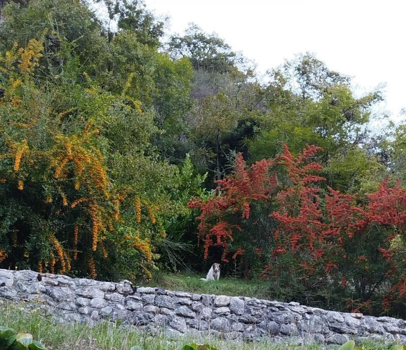 Maison - 79 m² - 4 pièces